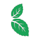 Vape Leaf