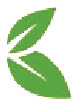 Herbs Leaf