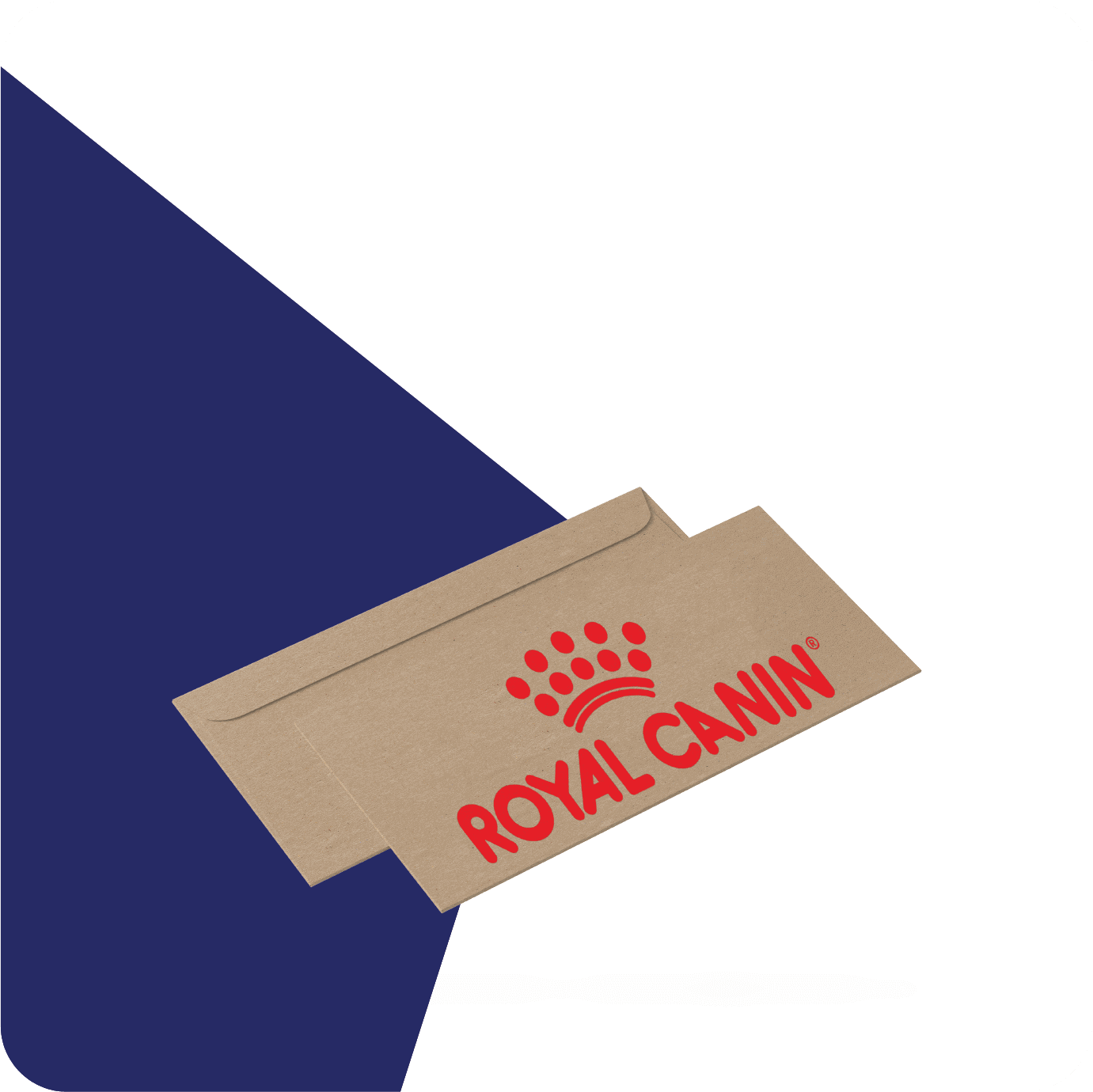 kraft cards and envelopes