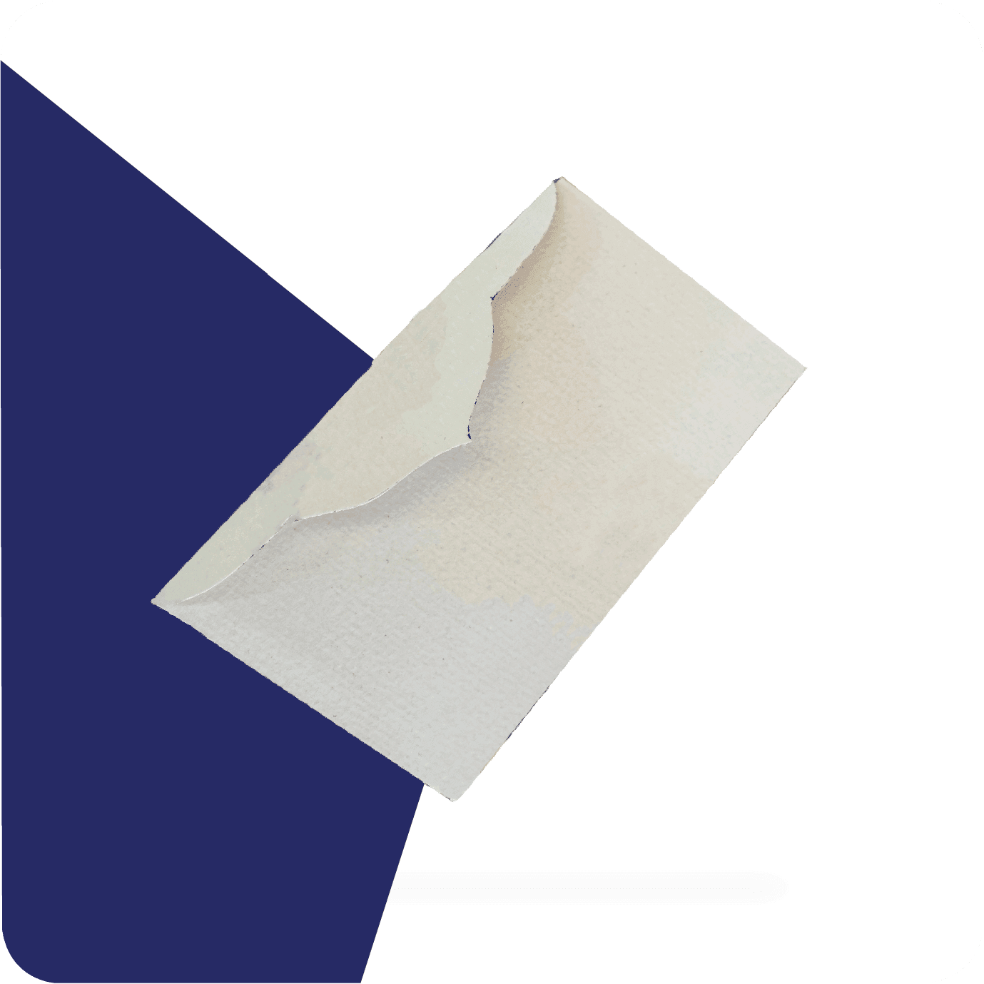 blank seed packet envelopes