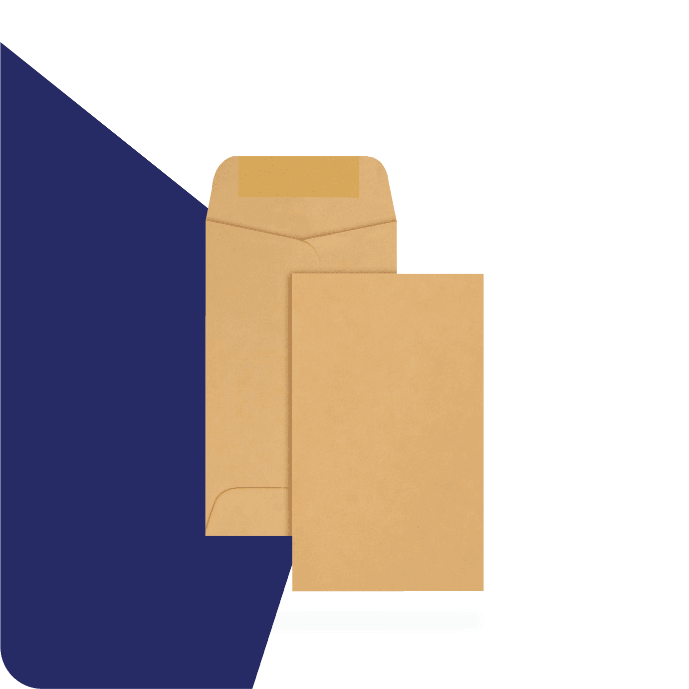 brown envelopes for seeds