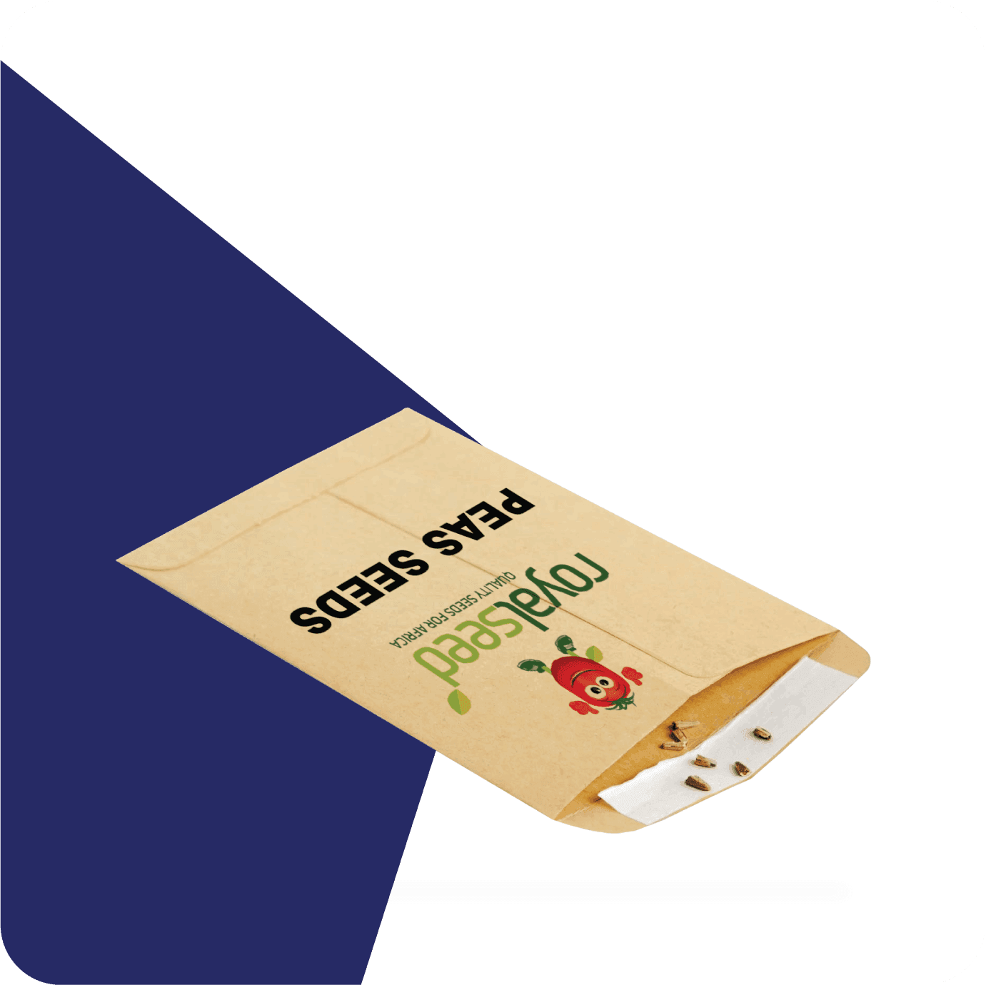 recycled paper seed envelopes