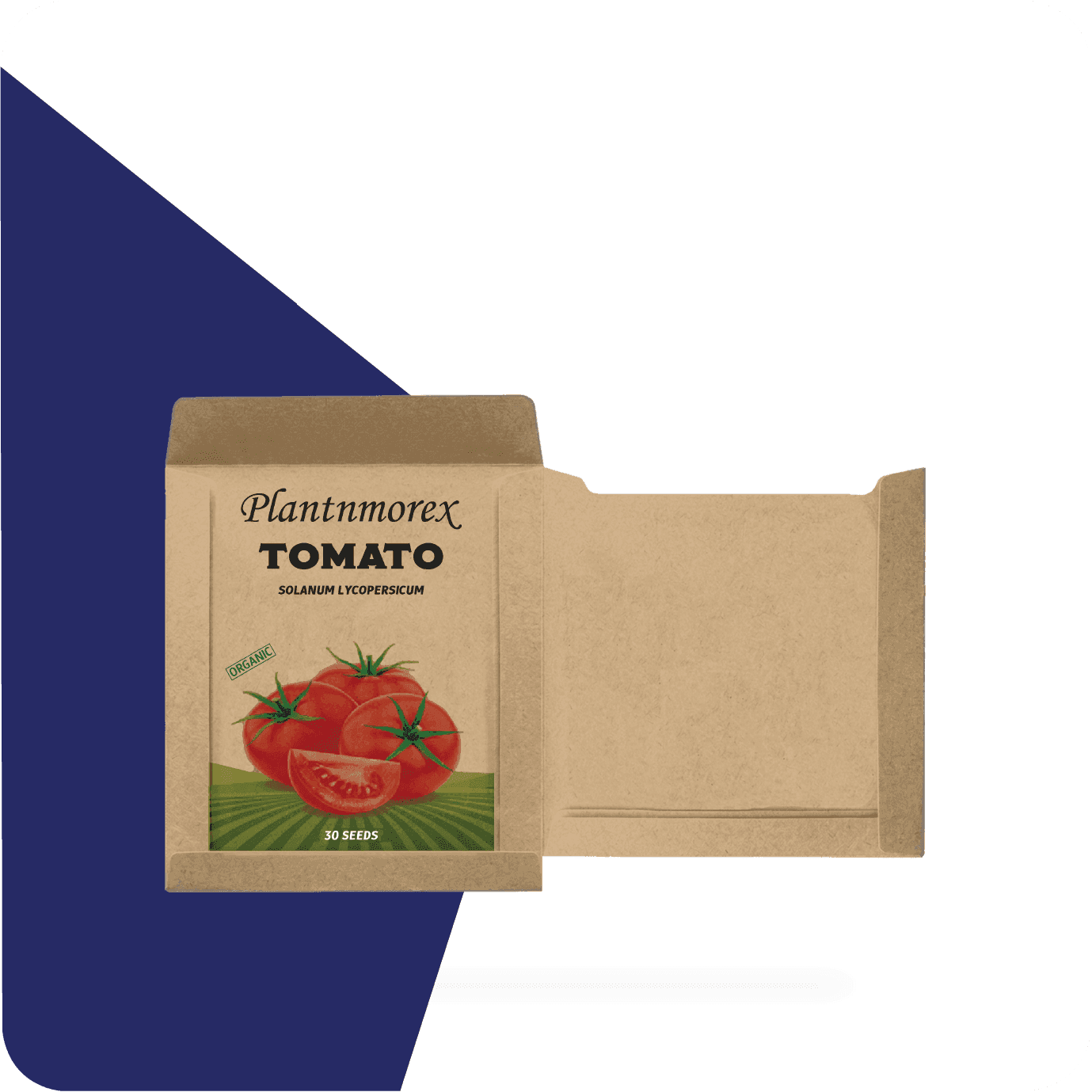 seed packaging envelopes