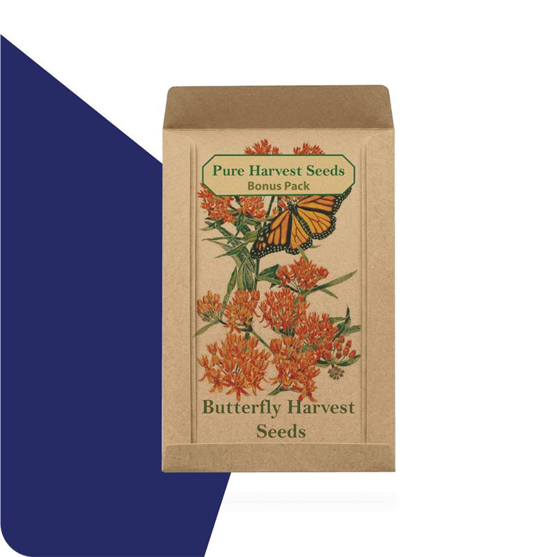 small brown envelopes for seeds