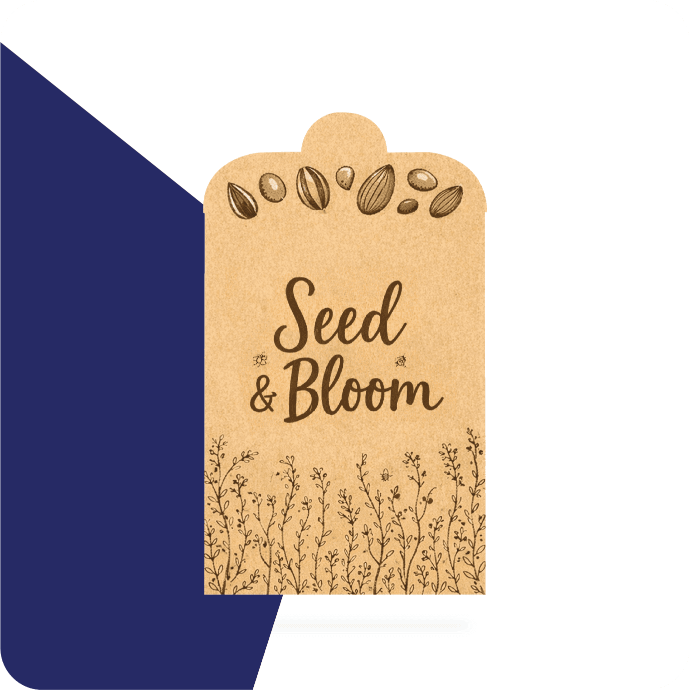 small brown seed envelopes