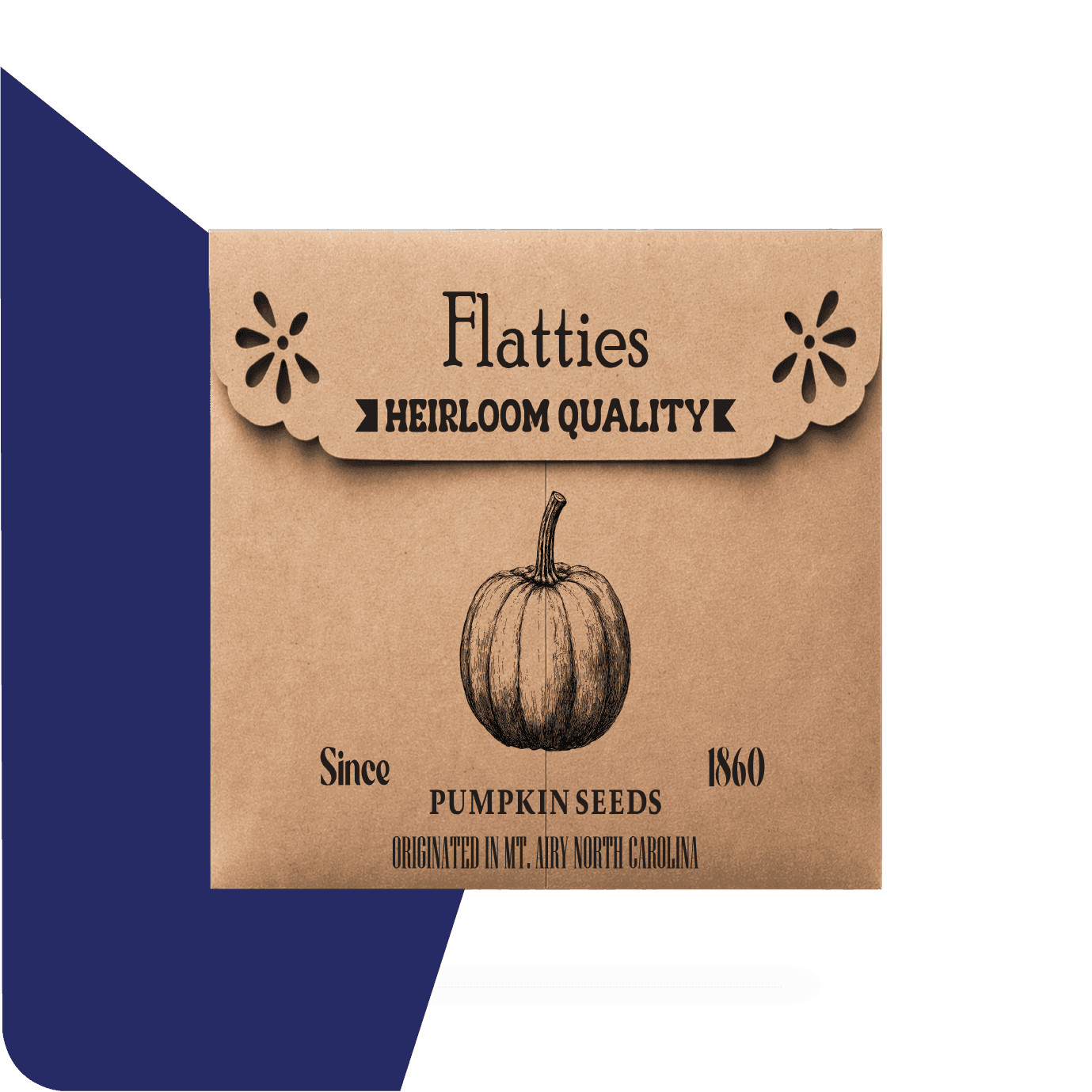 tiny envelopes for seeds