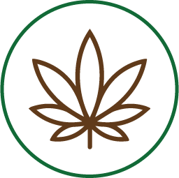 CBD and Cannabis Industry With Custom Header Cards
