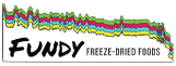 Fundy logo