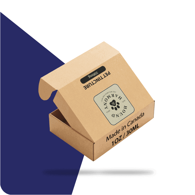 Custom Kraft Paper Box